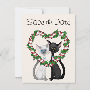 Invitation Chats de vacances mignons pour sauver la date de m
