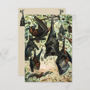 Invitation Chauve-souris volante vintage chauve-souris noire 