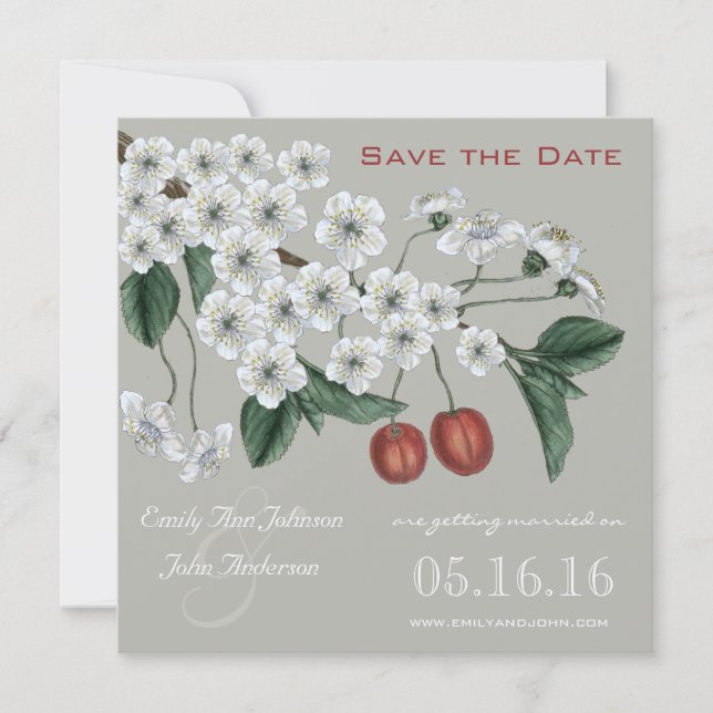 Invitation Cherry Blossoms Branch Enregistrer la date (Devant)
