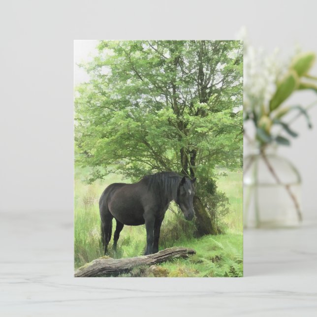 Invitation CHEVAL (Debout devant)