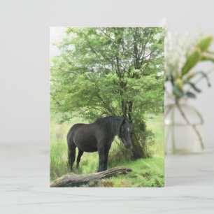 Invitation CHEVAL