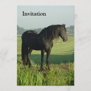 Invitation Cheval frison