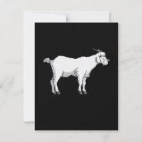 Chèvre portant un masque facial médical