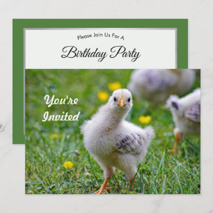 Invitation Chicken Baby Chick Photo Anniversaire