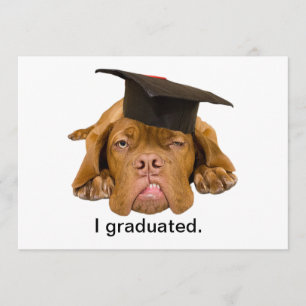Invitation chien avec le casquette d'obtention du diplôme