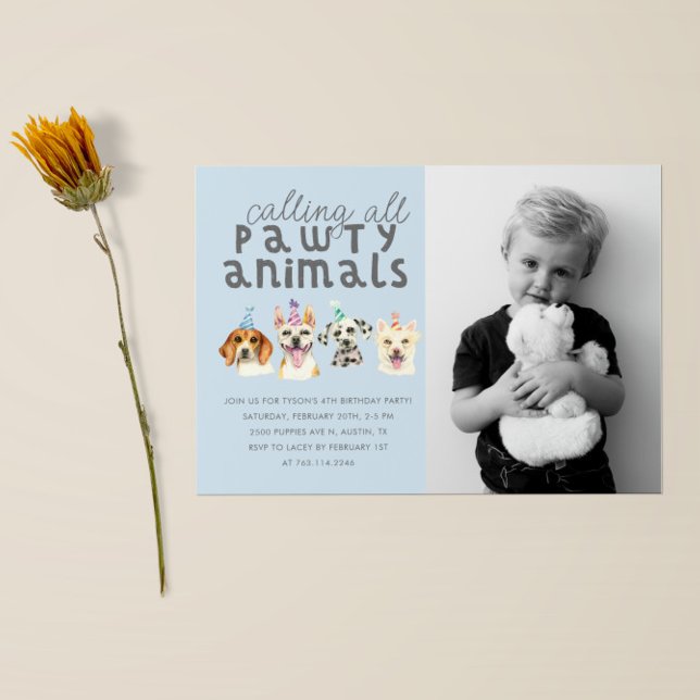 Invitation Chien Chien Chien Fête Animaux Anniversaire Photo (Créateur téléchargé)