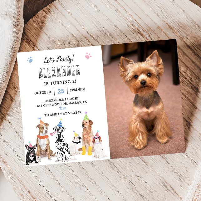 Invitation Chien Chien Chien, Pawty Birthday Party Photo (Créateur téléchargé)