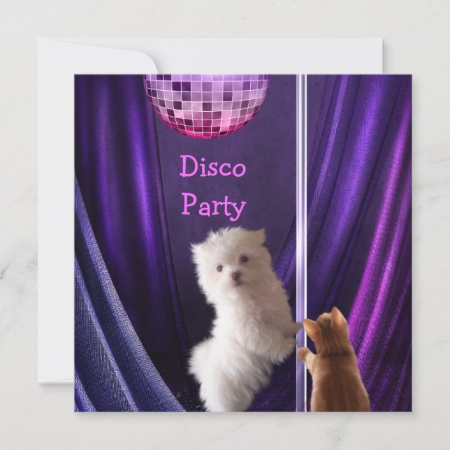 Invitation Chien de fête disco Chat Maltais Enterrement de vi (Devant)