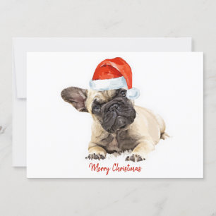 Invitation Chien de père Noël Chien Français Chien de taureau