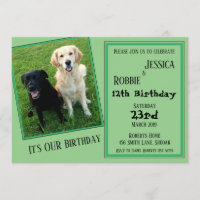 Chien jumeau de Labrador d'anniversaire