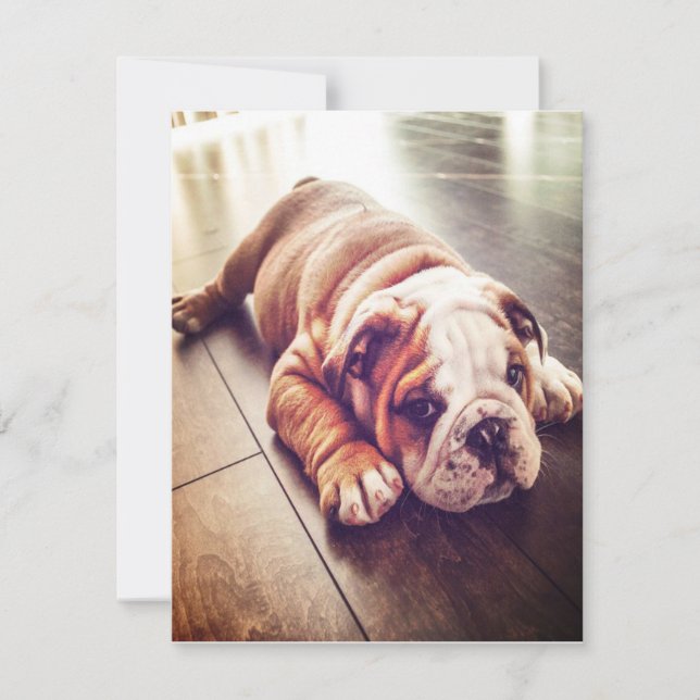 Invitation Chien menteur de Bulldog anglais | Photo de chien (Devant)