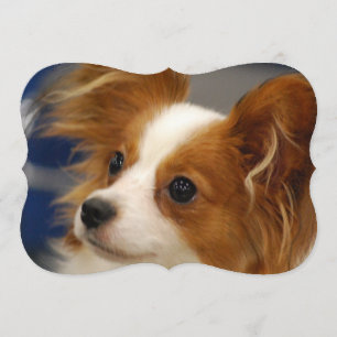 Invitation Chien mignon de Papillon