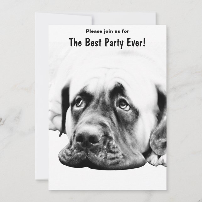 Invitation Chien mignon Mastiff (Devant)