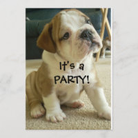 Chiot anglais de bouledogue d'invitations de