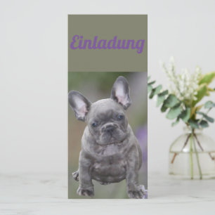 Invitation chiot de bouledogue français Bulldog français