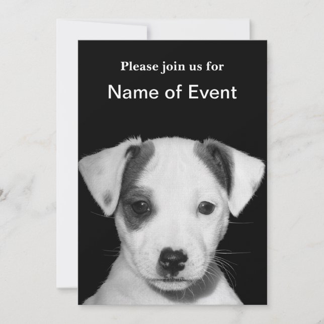 Invitation Chiot de Jack Russell Terrier (Devant)