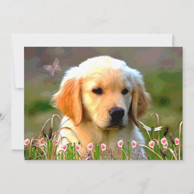 Invitation Chiot d'or d'Austin Labrador (Devant)