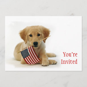 Invitation Chiot d'or et drapeau américain