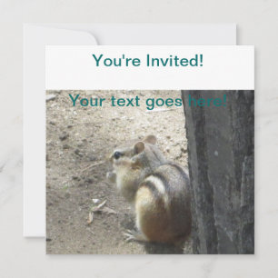 Invitation Chipmunk Midland Ontario