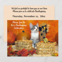 Chute de porc / Automne / Chat Thanksgiving