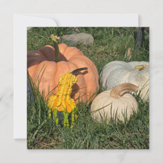 Invitation Citrouilles et courges