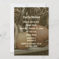 Citrouilles Et Tiges De Maïs Fête D'Automne