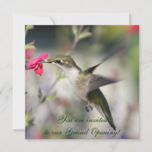 Invitation Colibri en vol