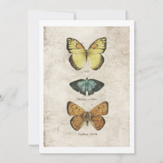 Invitation Collection de papillons