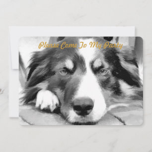 INVITATION COLLIE FRONTALIÈRE