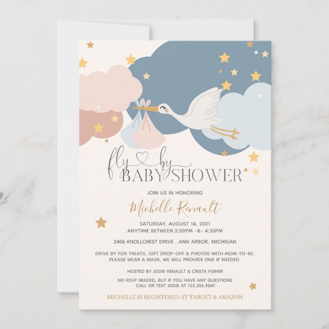 Invitation Conduire par "Voler par" Stork Boy Girl Twins Baby (Devant)
