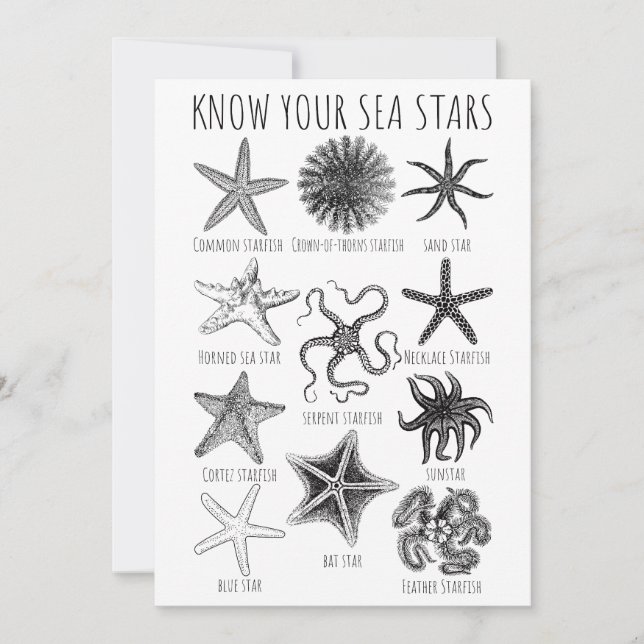 Invitation Connaissez vos étoiles de mer - Groupes Starfish (Devant)