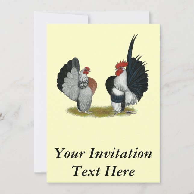 Invitation Coqs nains de Serama (Devant)