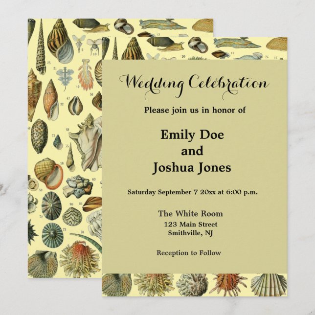 Invitation Coquillages de coquillages Mollusk Clam Élégant Ar (Devant / Derrière)