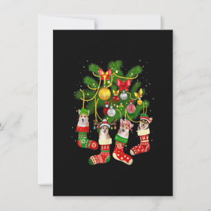 Invitation Corgi En Chaussettes Rinder Noël Neige Chien Drôle