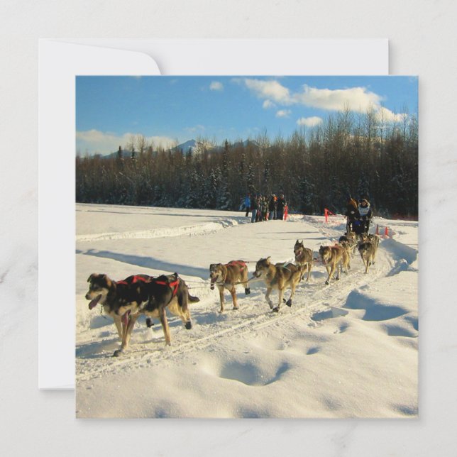 Invitation Course de chiens de traîneau Iditarod Trail (Devant)