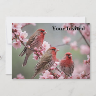 Invitation "Crimson Trio : Des Finches Rouges Au Milieu De Fl