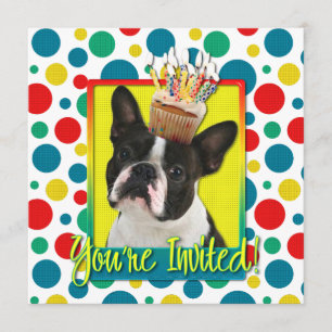 Invitation Cupcake - Boston Terrier