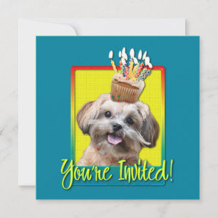 Invitation Cupcake d'invitation - ShihPoo - Maggie