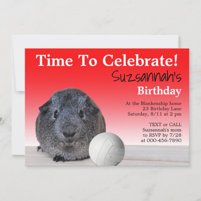 Invitation Cute Guinée Pig Volleyball Personnalisé Anniversai (Devant)