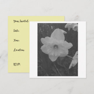 Invitation Daffodile sauvage