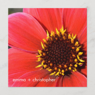 Invitation Dahlia rouge