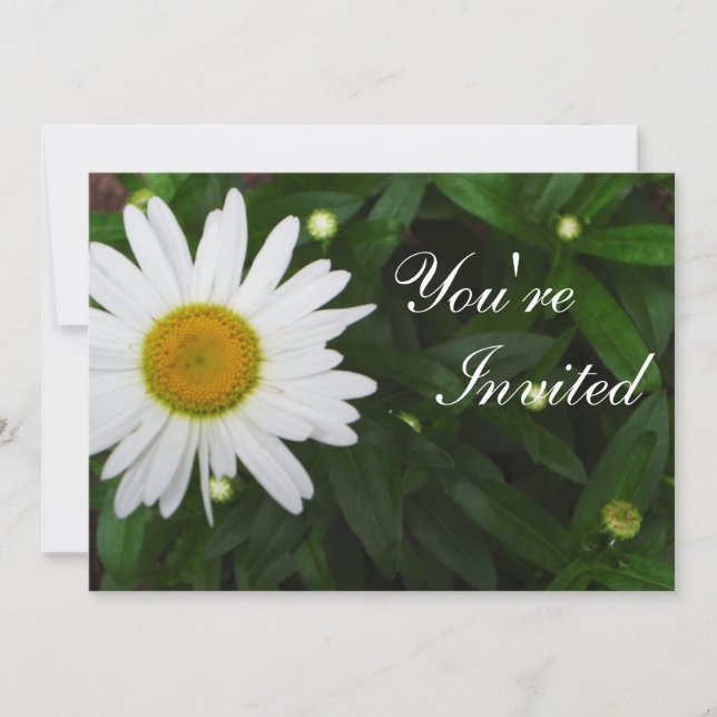 Invitation Daisy (Devant)
