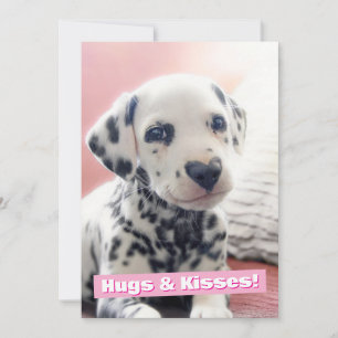 Invitation Dalmatien Nez de Coeur