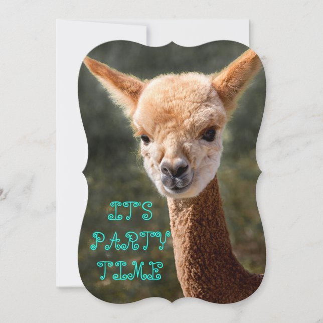 Invitation d'Alpaca (Devant)