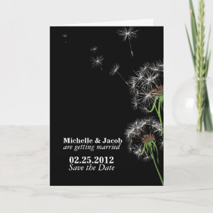 Invitation Dandelions