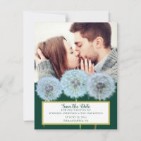 Dandelions, Dandelion Horloge Photo Enregistrer la