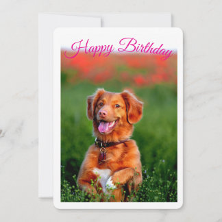 Invitation d'anniversaire de chiot mignon