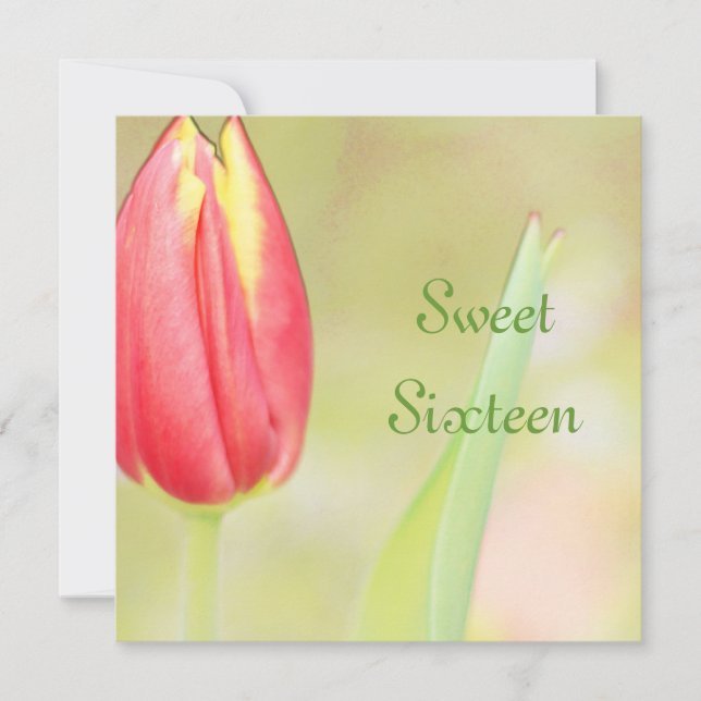 invitation d'anniversaire de sweet sixteen tulip r (Devant)