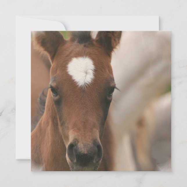 Invitation de bébé de cheval (Devant)