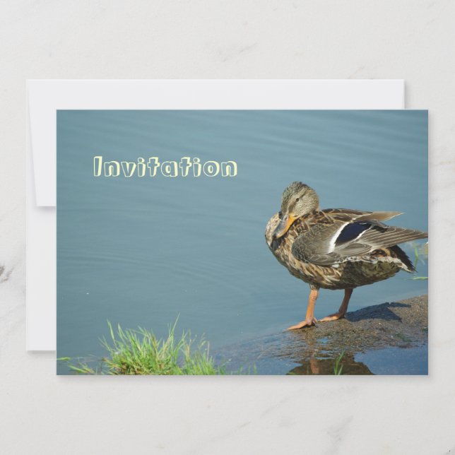 Invitation de canard (Devant)